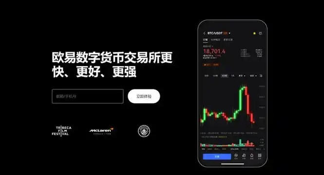 OE免费下载页面展示